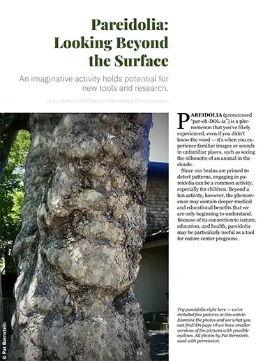 Pareidolia: Looking Beyond the Surface First page of ANCA publication, Pareidolia: Looking Beyond the Surface.